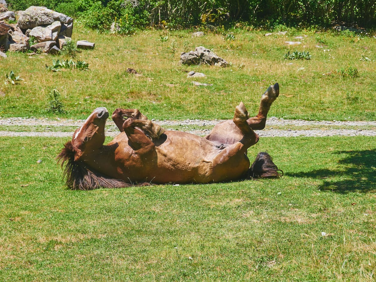 The Joy of Extremely Personal Software