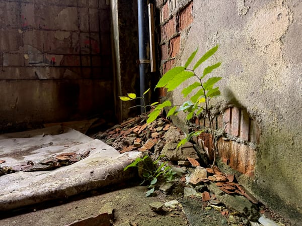 Stripe Projects and How IaaS is Changing